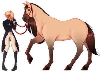 Horse